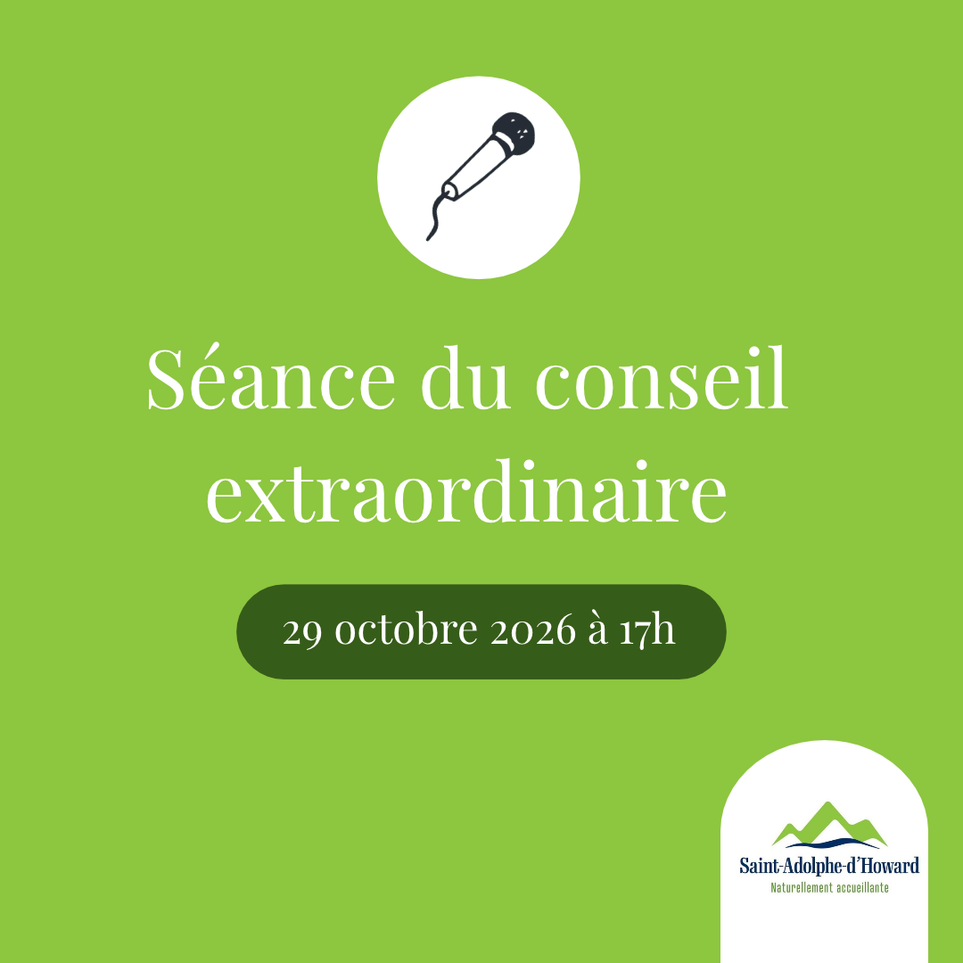 Séance extraordinaire du conseil municipal - 2026-10-29